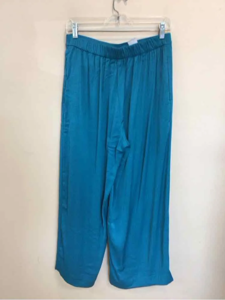 ANN TAYLOR SIZE MEDIUM PET Ladies PANTS