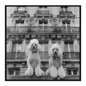 French Poodles Wall Art