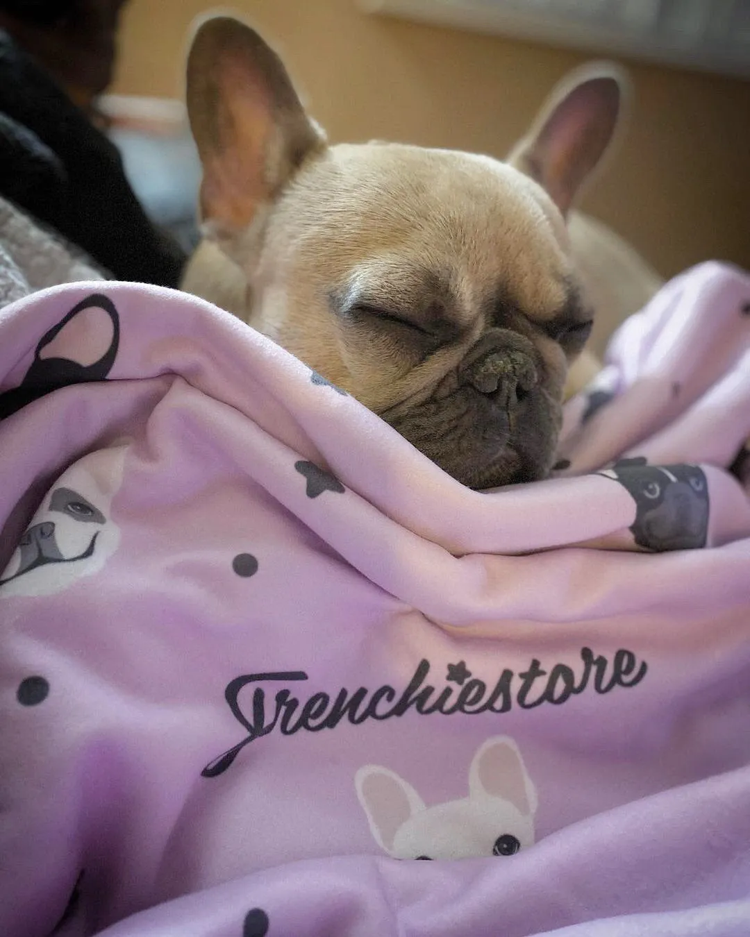 Frenchie Blanket |  French Bulldogs and stars on Lavender