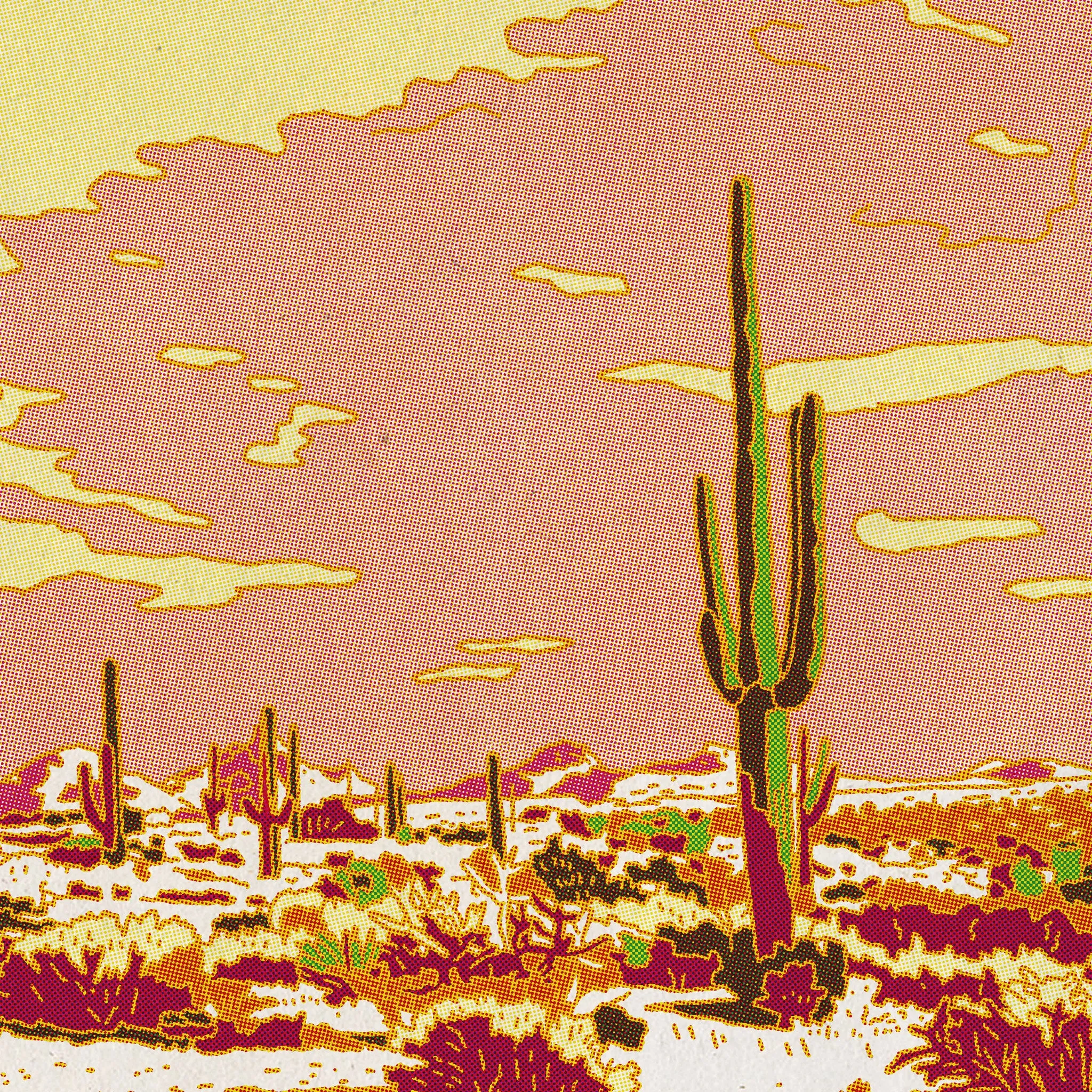 VAS: Caroline Clark - "Saguaro Desert"